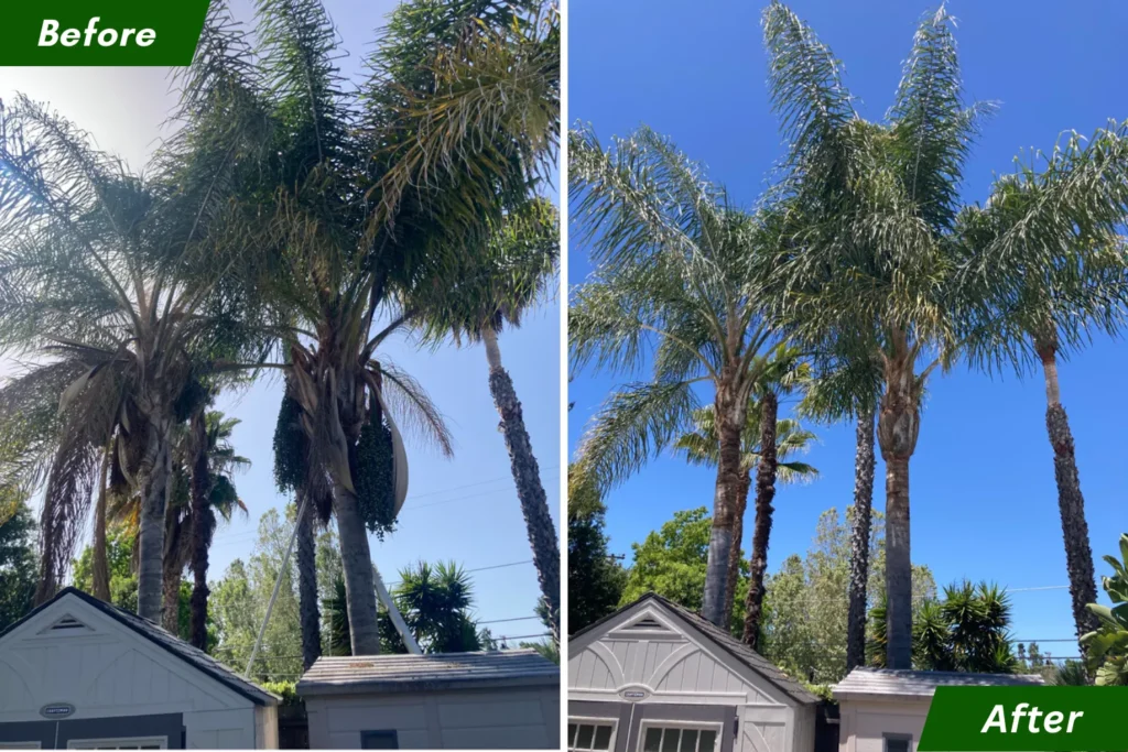 3 - 2026-01-30T132244.451